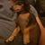 Jeff King's profile image