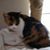 Susie Hadley's profile image