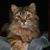 Glenn Youngkrantz's profile image