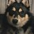 Christie Iacovetti's profile image