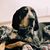 Cindy Johnson's profile image