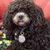 Michelle Becker Bulles's profile image