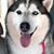 Michelle Williams's profile image