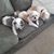Mary Lynn Haines-O'Neal's profile image