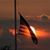 Regina Waddell's profile image