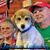 Vicky Lynn Ayres Scherck's profile image