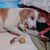 Elaine Collins's profile image