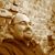 Ross Chalmer's profile image