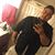 Armando Castillo's profile image