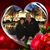 Linda Bradford's profile image