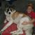 Melissa Smith Miller's profile image