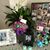 Jocelyn Mayorga Terrones's profile image
