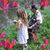 Joyce Waugh Sparks's profile image