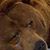 Michael Brady's profile image