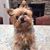 Lisa Bellis's profile image