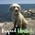 Heidi Mirander's profile image