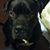 Armando Garcia's profile image