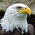 Harold Reed's profile image
