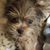 Judy Roberts's profile image