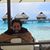 Giuseppe Di Fede's profile image