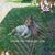 Janice Funderburk's profile image