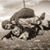 Rob Wolfe's profile image
