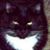 Shelly Mowatt's profile image