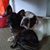 Karen Saltsman Hysell's profile image