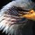 Jerry Brown's profile image