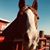 Brenda Kelly Ancker's profile image