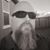 David Lafferty's profile image