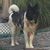 Gina Bianculli-Fields's profile image