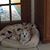 Carrie Himmer's profile image