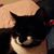 Thomas Scissons's profile image