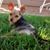 Barbara Van Tassel's profile image