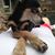 Sandy Stallings's profile image