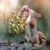 Lori Douglas-king's profile image