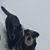 Kelli Knoche's profile image