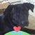 Teri Volk Moody's profile image