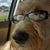 Stacy Cappitte's profile image
