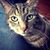 Betty Wood's profile image