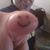 David Hughes's profile image