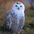Heather Pearman Smith's profile image