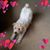 David Philip Seyffert's profile image