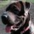Phil Hertzberg's profile image