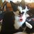 Linda Hatfield-Southern's profile image