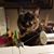 Amy Markus Erickson's profile image