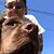 Jose M Hernandez's profile image