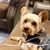 Cathy Roseberry Mason's profile image