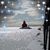 Ann Forstrom's profile image
